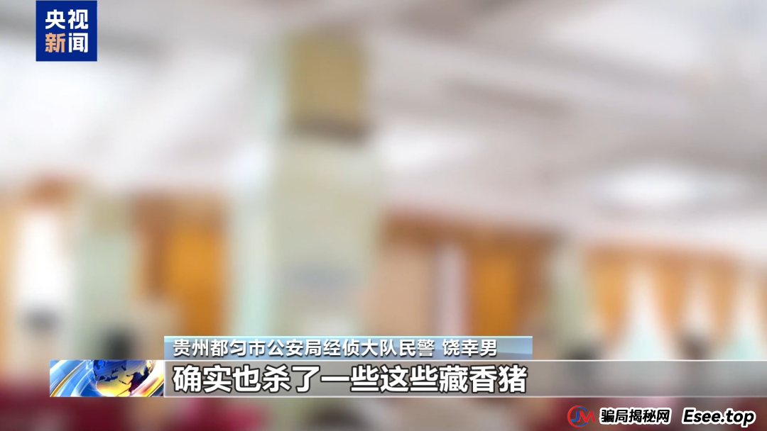 假养猪 真骗局 警惕披着“云养经济”外衣的非法集资