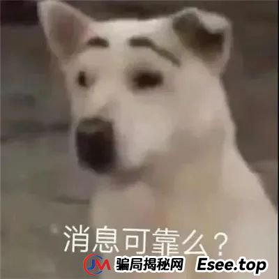 【护航高考】高考冲刺路上，比提分更重要的是警惕这类骗局！