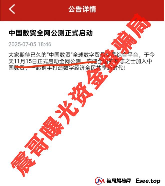 中国数贸资金盘大起底：震哥带你扒开“全球卡”骗局